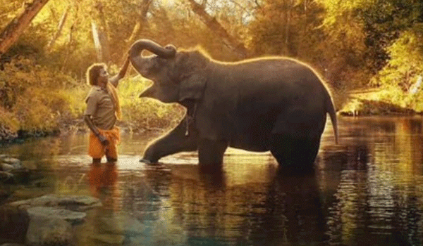 ഒരു ആനയും രണ്ടു സ്ത്രീകളും ചേര്‍ന്ന് ഇന്ത്യയിലേക്ക് കൊണ്ടുവന്നത് ഓസ്‌ക്കര്‍; ദി എലിഫന്റ് വിസ്‌പേഴ്‌സിന് പുരസ്‌ക്കാരം വന്നത് ഇങ്ങിനെ