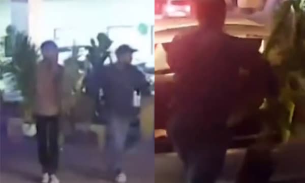 ബിഎംഡബ്ല്യു കാറിലെത്തി ചെടിച്ചട്ടികള്‍ മോഷ്ടിച്ചു ; കട്ടുകൊണ്ടുപോയത് ജി 20 ക്കായി അലങ്കാരത്തിന് വെച്ചിരുന്നത് ; യുവാക്കള്‍ അറസ്റ്റില്‍