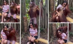 'ഒരു മുത്തം തന്നോട്ടെ': യുവതിയുടെ കവിളില്‍ ചുംബിച്ച് ചിമ്പാന്‍സി: വൈറലായി വീഡിയോ
