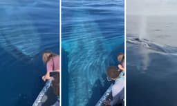 ബോട്ടിനരികിലെത്തിയ നീലത്തിമിംഗലത്തെ കണ്ട് യുവതി ചെയ്തത് കണ്ടോ? ആരേയും അത്ഭുതപ്പെടുത്തും ഈ ദൃശ്യങ്ങള്‍