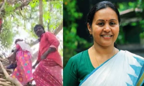 വന്യമൃഗശല്യം; എട്ട് മാസം ഗർഭിണിയും കുടുബവും കഴിയുന്നത് ഏറുമാടത്തിൽ; വിഷയത്തില്‍ ഇടപെട്ട് ആരോഗ്യമന്ത്രി