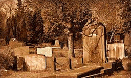 കല്ലറിയില്‍ നിന്നും രക്ഷിക്കണമേ എന്ന നിലവിളി; വിവരം അറിഞ്ഞ് പൊലീസ് എത്തി; പിന്നീട് സംഭവിച്ചത്...