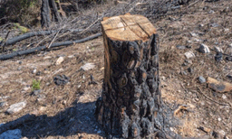 ചൂട് വര്‍ധിപ്പിക്കുന്ന രാജ്യങ്ങളുടെ പട്ടികയില്‍ ഇന്ത്യ അഞ്ചാം  സ്ഥാനത്ത് 