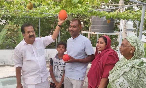പറുദീസയിലെ കനി ഹരിപ്പാടും വിളയും. ഗാഗ് ഫ്രൂട്ട് കൃഷിയുമായി ഹരിപ്പാടുകാരന്‍. അഭിനന്ദിച്ച് രമേശ് ചെന്നിത്തല
