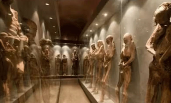 ഈജിപ്തിലെ മമ്മികള്‍ അപകടങ്ങള്‍ ക്ഷണിച്ചുവരുത്തുന്നു: മുന്നറിയിപ്പുമായി ആരോഗ്യ വിദഗ്ധര്‍