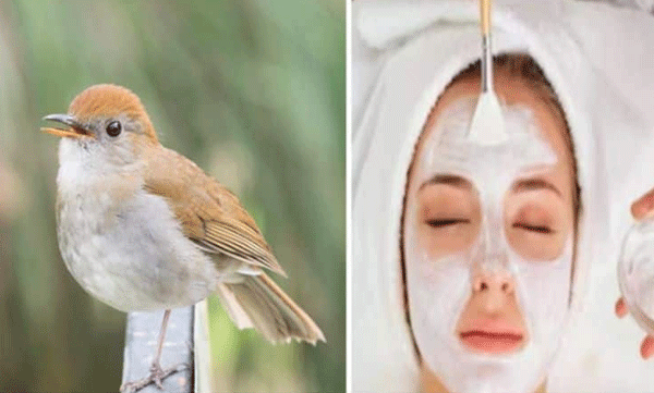  പക്ഷി വിസര്‍ജ്യത്തില്‍ നിന്നുളള ഫേഷ്യലിന് ആവശ്യക്കാരേറെ