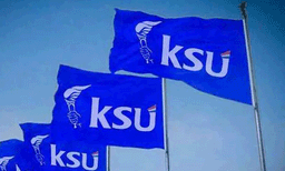 കെഎസ്‌യുവിന്റെ ജംബോ പട്ടിക ഡല്‍ഹിയില്‍ പുറത്തിറക്കി; 'ഭാരം വഹിക്കാന്‍' വിവാഹിതരും യൂത്ത് കോകോണ്‍ഗ്രസില്‍ ഉരുള്‍പൊട്ടല്‍