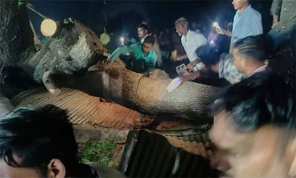 മഹാരാഷ്ട്രയില്‍ ശക്തമായ കാറ്റും മഴയും; മരം ഒടിഞ്ഞുവീണ് ഏഴ് മരണം