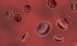 ഹീമോഗ്ലോബിന്റെ തോത് ഉയര്‍ത്താന്‍ ഇനി ഈ ഭക്ഷണങ്ങള്‍ ശീലമാക്കാം