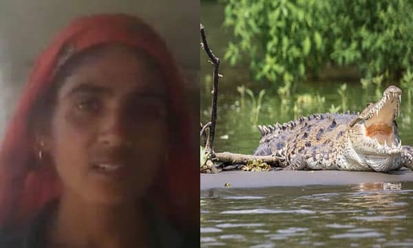 മുതലയുടെ പിടിയില്‍ നിന്നും ഭര്‍ത്താവിന്റെ ജീവന്‍ രക്ഷിച്ച ഭാര്യ;  കൈയില്‍ ആകെ ഉണ്ടായിരുന്നത് ഒരു വടി മാത്രം
