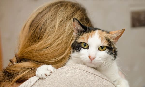 താനില്ലാത്ത നേരത്ത് വീട്ടിൽ നിന്നും പൂച്ചയെ ഒഴിവാക്കി, ഭർത്താവിനോട് വിവാഹമോചനം ആവശ്യപ്പെട്ട് യുവതി