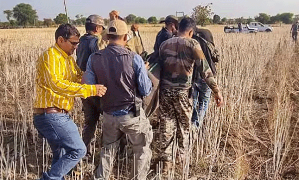കുനോ ദേശീയ ഉദ്യാനത്തില്‍ നിന്നും പുറത്ത് കടന്ന ചീറ്റയെ തിരികെ എത്തിച്ച് അധികൃതര്‍