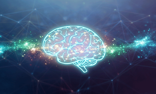 മരണശേഷം മസ്തിഷ്‌കം ജീവിക്കുമോ ; പഠനം നടത്തി ഗവേഷകര്‍