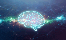 മരണശേഷം മസ്തിഷ്‌കം ജീവിക്കുമോ ; പഠനം നടത്തി ഗവേഷകര്‍