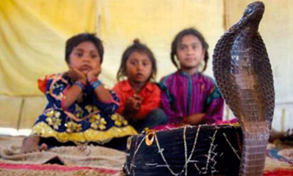 പാമ്പുകളോടൊപ്പം ഗ്രാമീണരും അധിവസിക്കുന്ന ഒരു ഗ്രാമം