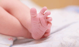 ജനിച്ചിട്ട് മണിക്കൂറുകള്‍ മാത്രം, കവിയൂരില്‍ കപ്പയ്ക്കിടയില്‍ ചോരക്കുഞ്ഞിനെ ഉപേക്ഷിച്ചു ; മാതാപിതാക്കളെ കണ്ടെത്താനുള്ള ശ്രമത്തില്‍ പോലീസ്