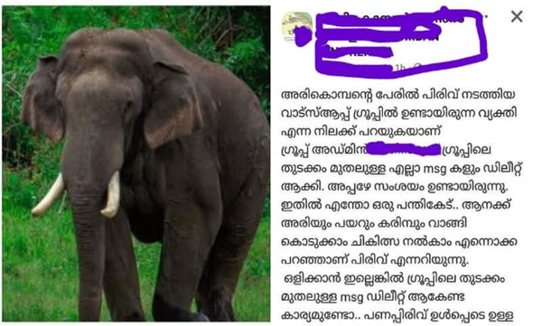 അരിക്കൊമ്പന് അരി വാങ്ങാനും കേസ് നടത്തി ചിന്നക്കനാലിലേക്ക് തിരികെയെത്തിക്കാനും വാട്‌സാപ്പ് ഗ്രൂപ്പില്‍ പണപ്പിരിവ്; അന്വേഷണം ആരംഭിച്ച് സ്റ്റേറ്റ് സ്‌പെഷ്യല്‍ ബ്രാഞ്ച് 