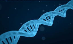 നേരംപോക്കിന് മക്കളുടെ ഡിഎന്‍എ ടെസ്റ്റ് നടത്തി:  ഫലം വന്നപ്പോള്‍ ഞെട്ടിത്തരിച്ച് കുടുംബം