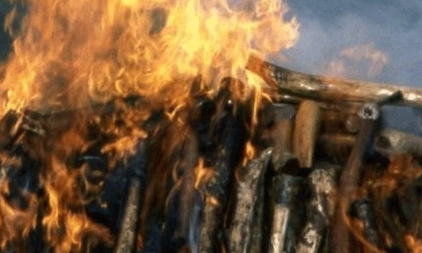 ബാല്യകാലം മുതല്‍ ഇണപിരിയാത്ത ഉറ്റസുഹൃത്തുക്കള്‍ ; കൂട്ടുകാരന്‍ മരിച്ചത് താങ്ങാനായില്ല ; ചിതയില്‍ ചാടി യുവാവും മരിച്ചു
