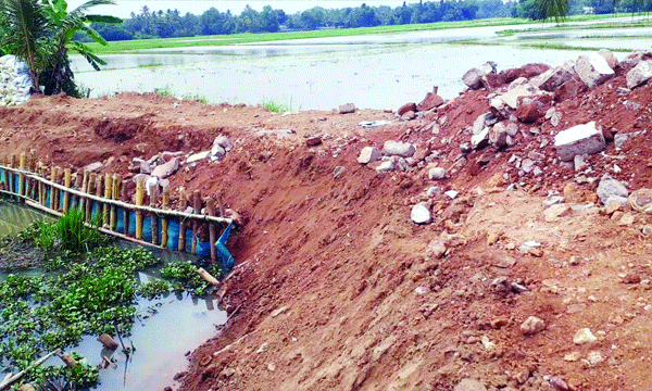 മത്സ്യക്കൃഷിയുടെ മറവില്‍ സി.പി.എം ജില്ലാ സെക്രട്ടറിയേറ്റ് അംഗത്തിന്റെ വയല്‍ നികത്തല്‍: ഏറ്റു വാങ്ങാന്‍ മടിച്ച സ്‌റ്റോപ്പ് മെമ്മോ വില്ലേജ് ഓഫീസര്‍ വീടിന്റെ ഭിത്തിയില്‍ പതിപ്പിച്ചു