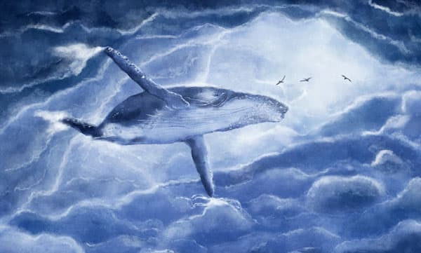 കാര്‍ബണ്‍ഡൈ ഓക്‌സെഡ് വലിച്ചെടുക്കാനുള്ള കഴിവ് തിമിംഗലങ്ങള്‍ക്ക് പരിമിതം; പുതിയ പഠനങ്ങള്‍ അനിവാര്യം