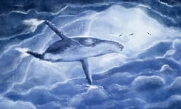 കാര്‍ബണ്‍ഡൈ ഓക്‌സെഡ് വലിച്ചെടുക്കാനുള്ള കഴിവ് തിമിംഗലങ്ങള്‍ക്ക് പരിമിതം; പുതിയ പഠനങ്ങള്‍ അനിവാര്യം