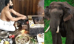 അരിക്കൊമ്പന്റെ സുരക്ഷയ്ക്കായി പ്ര​ത്യേക പൂജ നടത്തി വടക്കഞ്ചേരിയിലെ ക്ഷേത്രം