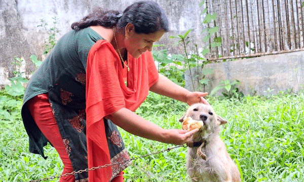 രണ്ടു കാലുമൊടിഞ്ഞു മുറിവേറ്റു വഴിയില്‍ കിടന്ന നായക്കുട്ടിയെ രക്ഷിച്ചു ; നാട്ടുകാരും ജീവനക്കാരും ചേര്‍ന്ന് വളര്‍ത്തി; ഇപ്പോള്‍ 'കുട്ട്‌റു' പാലാ മൃഗാശുപത്രിയുടെ കാവലാള്‍