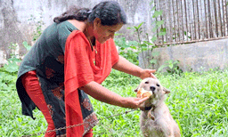 രണ്ടു കാലുമൊടിഞ്ഞു മുറിവേറ്റു വഴിയില്‍ കിടന്ന നായക്കുട്ടിയെ രക്ഷിച്ചു ; നാട്ടുകാരും ജീവനക്കാരും ചേര്‍ന്ന് വളര്‍ത്തി; ഇപ്പോള്‍ 'കുട്ട്‌റു' പാലാ മൃഗാശുപത്രിയുടെ കാവലാള്‍