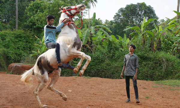 മിണ്ടാപ്രാണികളോട് ചെറുപ്പംമുതല്‍ പ്രിയം ; പത്താംക്ലാസ്സ് വരെ മുയല്‍ കോഴി, ആട്, ലൗബേര്‍ഡ്‌സ് ; എസ്എസ്എല്‍സി ജയിച്ച ഇരട്ടകള്‍ക്ക് മാതാപിതാക്കള്‍ സമ്മാനിച്ചത് കുതിര 