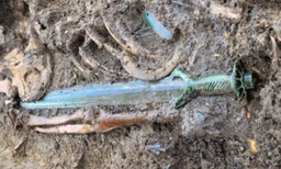 വെങ്കലത്താല്‍ നിര്‍മ്മിച്ച 3000 വര്‍ഷം പഴക്കമുളള അഷ്ടഭുജാകൃതിയിലുള്ള വാള്‍ കണ്ടെത്തി