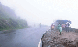 പച്ച പട്ടുപരവതാനി വിരിച്ച് തേയിലത്തോട്ടവും മലയിറങ്ങുന്ന കോടമഞ്ഞും ; മഞ്ഞുകാലവും മഴക്കാലവും ഒരുമിച്ച് ഒരുക്കി മാടി വിളിക്കുന്നു; മൂന്നാറിലേക്ക് സഞ്ചാരികളുടെ ഒഴുക്ക്