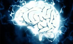 തലച്ചോറിന്റെ യുവത്വം നിലനിര്‍ത്താന്‍ ചെയ്യേണ്ടത് ; പഠനം പറയുന്നത്