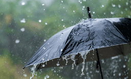 മഴ ദൈവങ്ങളെ പ്രീതിപ്പെടുത്താൻ പരസ്പരം വിവാഹം ചെയ്ത് യുവാക്കൾ