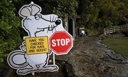 മൊെബെല്‍ ആപ്പ്, ജി.പി.എസ്, വാട്ട്‌സ്ആപ് ഗ്രൂപ്പുകള്‍, പ്രത്യേക ഉപകരണങ്ങള്‍  ; എലികളെ തുരത്താന്‍ ബ്രഹത് പദ്ധതിയുമായി ന്യൂസിലന്റ് ; മൂഷികന്മാര്‍ കാരണം പക്ഷികളില്ലാതാകുന്നു