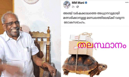തലസ്ഥാനം ചുമന്ന് വരുന്ന ആമ ; ഹൈബി ഈഡനെ പരിഹസിച്ച് എംഎം മണി