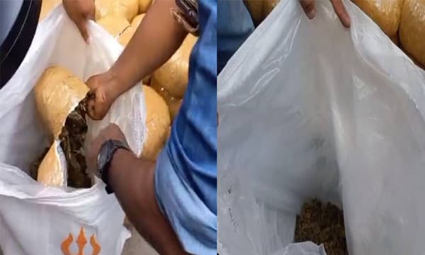 തിരുവനന്തപുരത്ത് വന്‍ ലഹരിവേട്ട: നൂറ് കിലോ കഞ്ചാവും അരക്കിലോ എംഡിഎംഎയും പിടികൂടി 