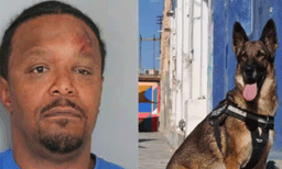 മദ്യപിച്ചു  ബോധം നഷ്ടപ്പെട്ട 47 -കാരൻ  പോലീസ്  നായയെ കടിച്ചുപരിക്കേൽപ്പിച്ചു,  നായ ആശുപത്രിയിൽ 