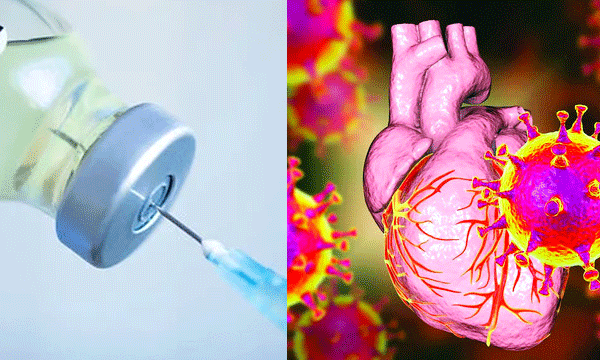 കോവിഡ് വാക്‌സിന്‍ എടുത്തവര്‍ക്കിടയില്‍ ഹൃദയാഘാത സാധ്യതകള്‍ കൂടുതലാണോ? ; സമൂഹമാധ്യമങ്ങളില്‍ വൈറലാകുന്ന പ്രചരണം ശരിയോ? ; ആരോഗ്യവിദഗ്ദ്ധര്‍ വിശദീകരിക്കുന്നത് കേള്‍ക്കുക