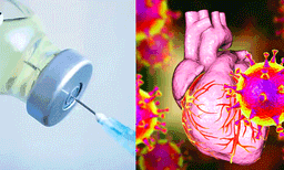 കോവിഡ് വാക്‌സിന്‍ എടുത്തവര്‍ക്കിടയില്‍ ഹൃദയാഘാത സാധ്യതകള്‍ കൂടുതലാണോ? ; സമൂഹമാധ്യമങ്ങളില്‍ വൈറലാകുന്ന പ്രചരണം ശരിയോ? ; ആരോഗ്യവിദഗ്ദ്ധര്‍ വിശദീകരിക്കുന്നത് കേള്‍ക്കുക