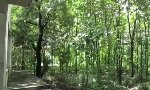 നിർമാണം നടന്നുകൊണ്ടിരിക്കുന്ന ക്ഷേത്രത്തിൽ നിന്ന് യുവതിയുടെ മൃതദേഹം കണ്ടെത്തി