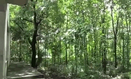 നിർമാണം നടന്നുകൊണ്ടിരിക്കുന്ന ക്ഷേത്രത്തിൽ നിന്ന് യുവതിയുടെ മൃതദേഹം കണ്ടെത്തി