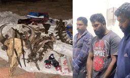 വനപാലകര്‍  പിടികൂടിയ നായാട്ടു സംഘത്തിന്റെ പക്കല്‍ നിന്നും​ ​  ആയുധങ്ങളും, ​ തോക്കുകളും കണ്ടെടുത്തു
