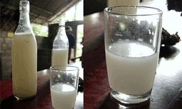 ആണ്‍കുട്ടികള്‍ക്കൊപ്പം ട്രിപ്പ് പോയി ; മദ്യപിക്കുന്നതിന്റെ വീഡിയോ സദാചാര പോലീസുകാര്‍ പിടിച്ചു ; അഞ്ചു പെണ്‍കുട്ടികളെ കോളേജ് സസ്‌പെന്റ് ചെയ്തു