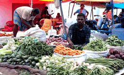 ഓണത്തിന് ഇനി പത്തുദിനം ; പച്ചക്കറി ഏറ്റെടുക്കാന്‍ സര്‍ക്കാരിന്റെ സംഭരണ കേന്ദ്രങ്ങള്‍ വരുന്നില്ല ; വിലക്കയറ്റത്തില്‍ കൊള്ളലാഭം ഉണ്ടാക്കുന്നത് ഇടനിലക്കാര്‍, കര്‍ഷകര്‍ക്ക് കണ്ണീര്‍