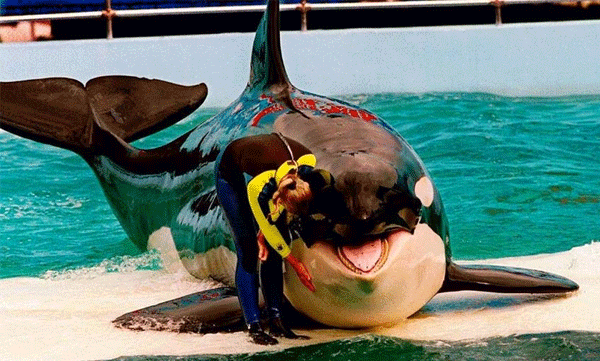 വര്‍ഷങ്ങള്‍ നീണ്ട ഏകാന്തവാസം: ഒടുവില്‍ കടല്‍ കാണാതെ വിടചൊല്ലി ലോലിത
