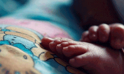 അട്ടപ്പാടിയില്‍ ആദിവാസി ദമ്പതികളുടെ ഗര്‍ഭസ്ഥ ശിശു മരിച്ചു