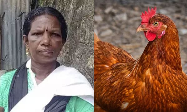 വളര്‍ത്തുകോഴികള്‍ വീട്ടില്‍ കയറിയതിനെ ചൊല്ലി വീട്ടമ്മമാര്‍ തമ്മില്‍ സംഘര്‍ഷം; ഒരാളുടെ കൈയൊടിഞ്ഞു 
