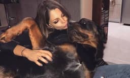 ഓമനിച്ച് വളര്‍ത്തിയ രണ്ട് റോട്ട്‌വീലറുകള്‍ യുവതിയെ കടിച്ചുകീറി; ഭയന്ന് വിറച്ച് അയല്‍ക്കാര്‍
