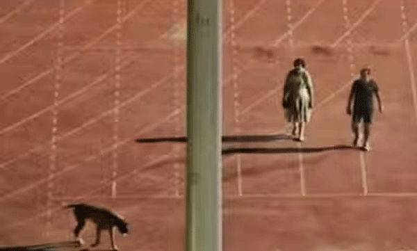 വളർത്ത് നായക്ക് നടക്കാൻ സ്റ്റേഡിയം ഒഴിപ്പിച്ച ഐഎഎസ് ഉദ്യോഗസ്ഥയ്ക്ക് നിർബന്ധിത വിരമിക്കൽ 